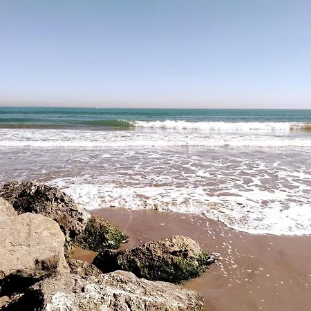 Alojamiento Junto Al Oceanografic Valencia Exterior photo